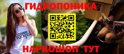 СК Кимры