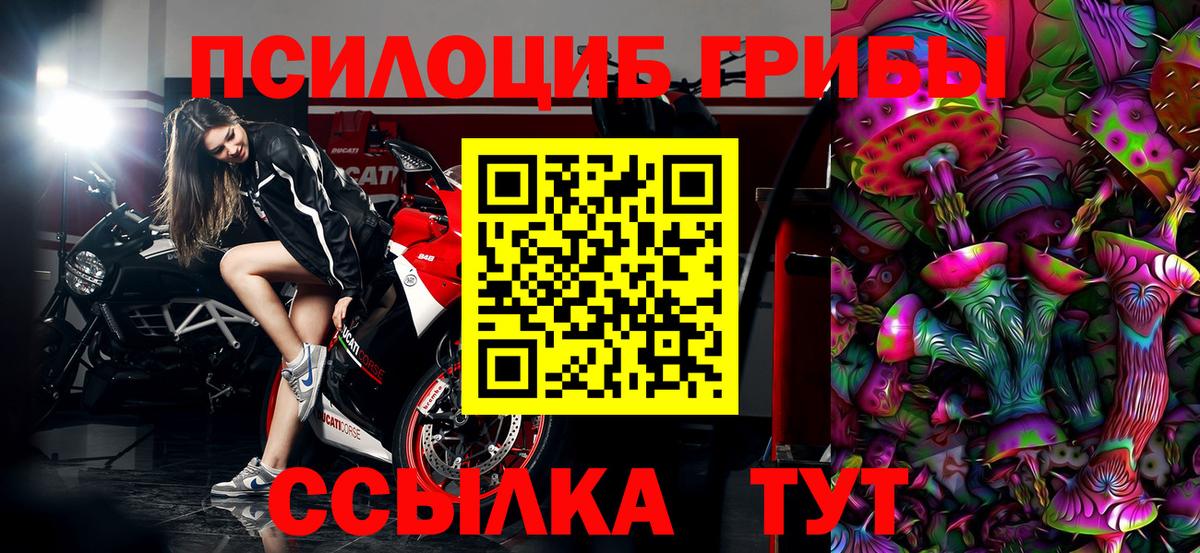 Галлюциногенные грибы Psilocybe Каменск-Шахтинский