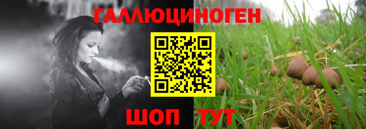 Каменск-Шахтинский  Галлюциногенные грибы Magic Shrooms  Вход с VPN  Псилоцибиновые грибы Psilocybe 